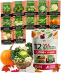 HOME GROWN 12 Fall Vegetable Seeds 6,000+ Heirloom Seeds for Fall & Winter Planting – Beets, Broccoli, Cabbage, Kale, Onion, Pumpkin, Turnip, Lettuce, Peas & More for Home Garden