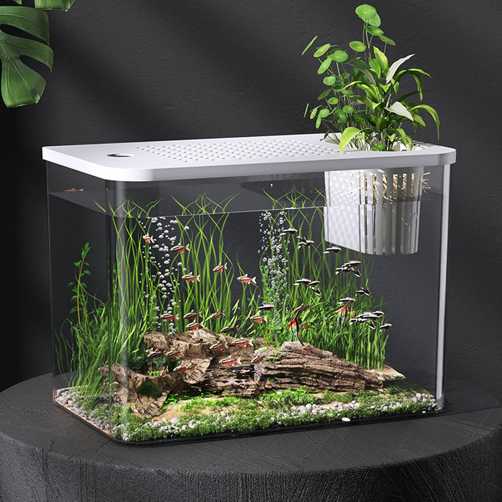 Small Fish Tank Plastic Clear Ecological Desktop Aquarium Miniature Design Space Saving for Goldfish Shrimp Betta Fish Turtle Living Room Desktop 12.4 Inch (White)