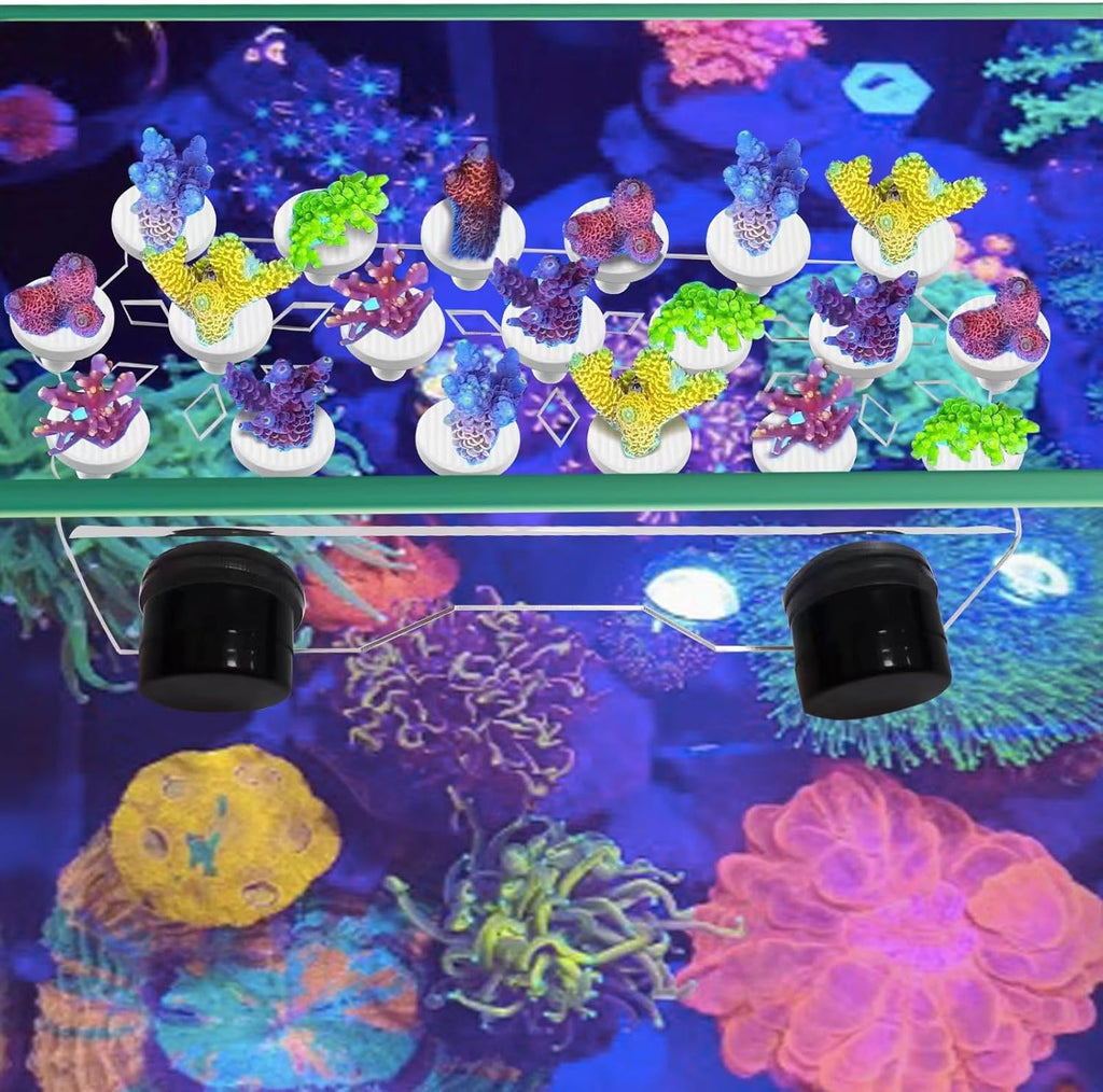 Coral frag Magnetic Holder Set with 19 Coral frag Plug Ceramic Bases