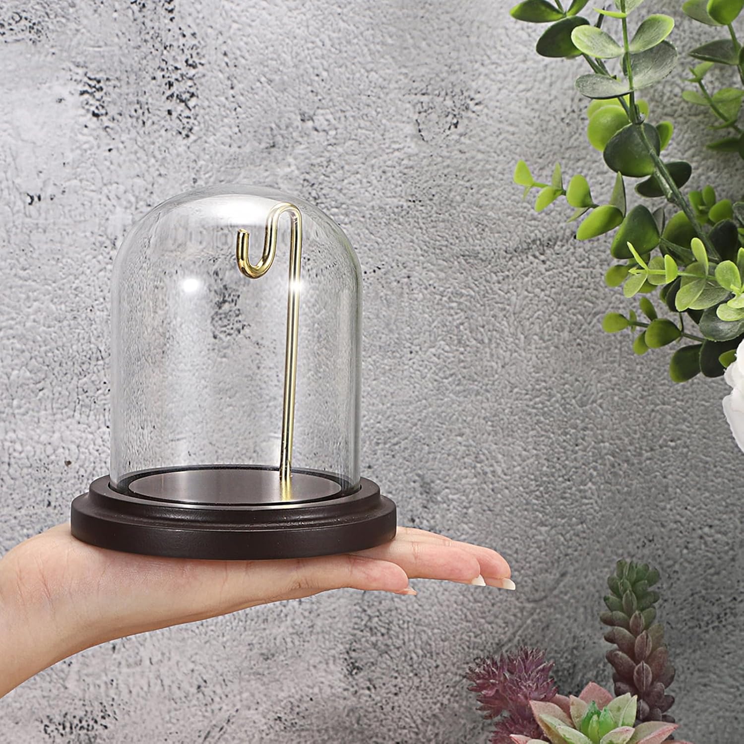 JUXYES 2 Pack Clear Watch Glass Display Dome Cloche With Hook, Dome Cloche with Hook with Wooden Base, Glass Dome Cloche Bell Terrarium Jar Cloche Bell Jar Display for Watch Ornaments