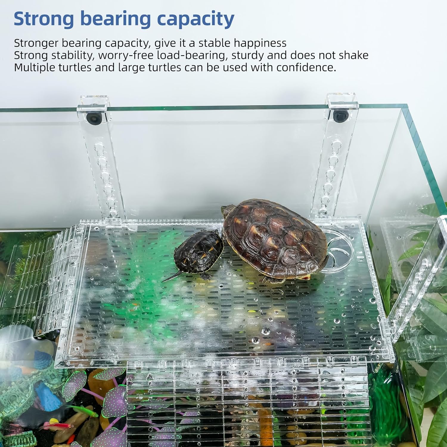 Acrylic Turtle Dock Basking Platform for Aquatic Turtles, No Screwdriver Required Effortless and Sturdy，Innovative Turtle Tank Fixture for Safety, Durability (14 Inch)
