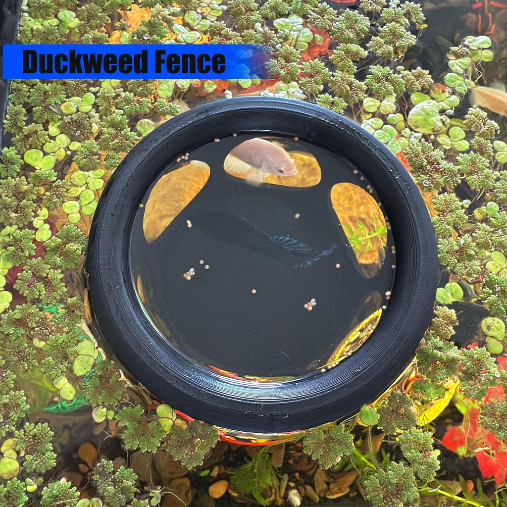 Floating Betta Fish Hideaway, Aquarium Suspended Resting Spot, Feeder for Small Fish and Shrimp, 3D Printed, Decorative Floating Cave Accessory for Aquariums. (Black)