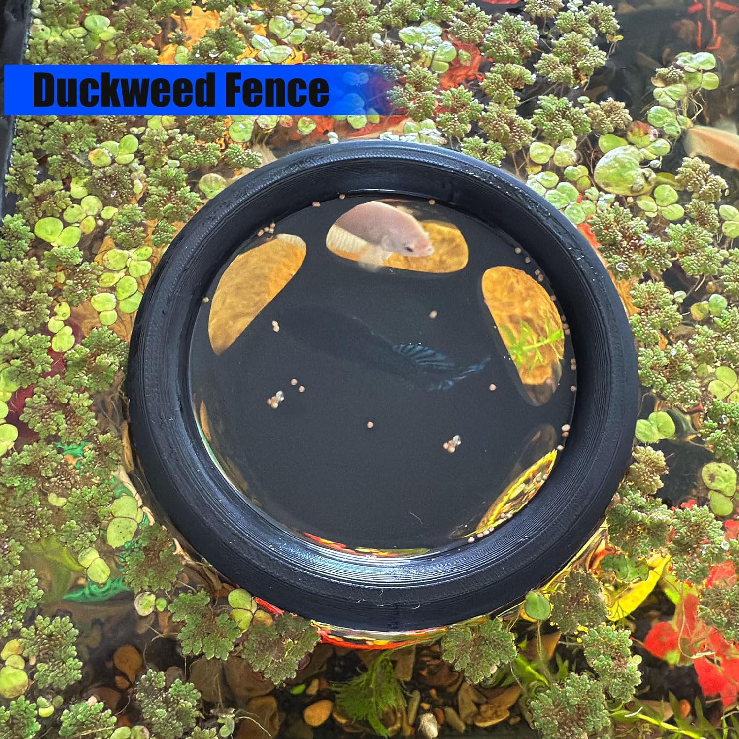 Floating Betta Fish Hideaway, Aquarium Suspended Resting Spot, Feeder for Small Fish and Shrimp, 3D Printed, Decorative Floating Cave Accessory for Aquariums. (Black)