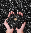 NUPICK 10 Pound River Rocks, 1-2 Inches Polished Pebbles for Plants, Fish Tank, Clear Vase and More, Natural Black Stones