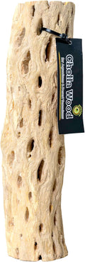 Galápagos (05271) Cholla Wood - Natural Aquarium & Terrarium Decoration for Fish Tanks, Reptile Tanks, and Bird Perches, 12”, Natural