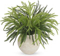 Briful Artificial Norfolk Pine Stems for Christmas Decor, 19 1/2’’ Faux Greenery Branch, Realistic Holiday Cedar Pine Picks for Vase, Garland, Mantel, DIY Floral Arrangement, Set of 6