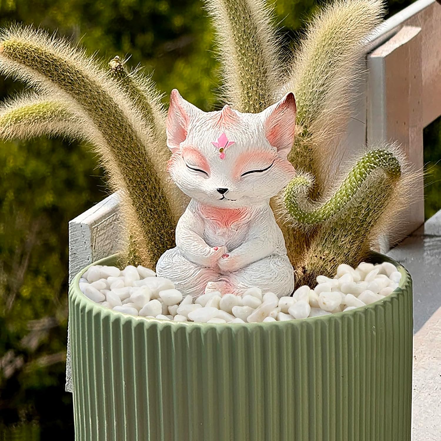10 lbs White Pebbles for Indoor Plants, 3/8 Inch Decorative White Stones. Polished River Rocks for Potted Plants Vase Cactus Bird Bath and Outdoor Garden Landscaping