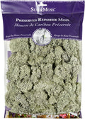 SuperMoss (25140) Reindeer Moss Preserved, Moss Green, 8oz (200 cubic inch)