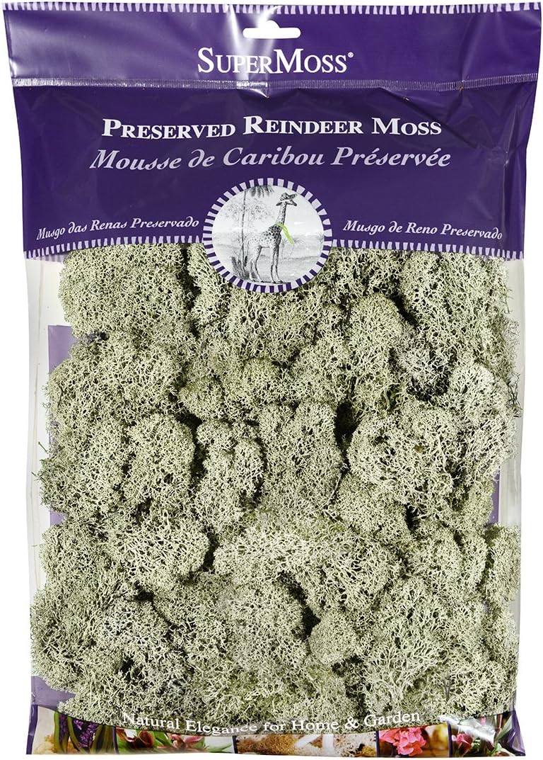 SuperMoss (25140) Reindeer Moss Preserved, Moss Green, 8oz (200 cubic inch)