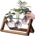 Kingbuy Desktop Glass Planter Iron and Wooden Stand Plant Terrariums for Indoor Office Desk Decor Accessories, 3 Bulb Vases, Brown