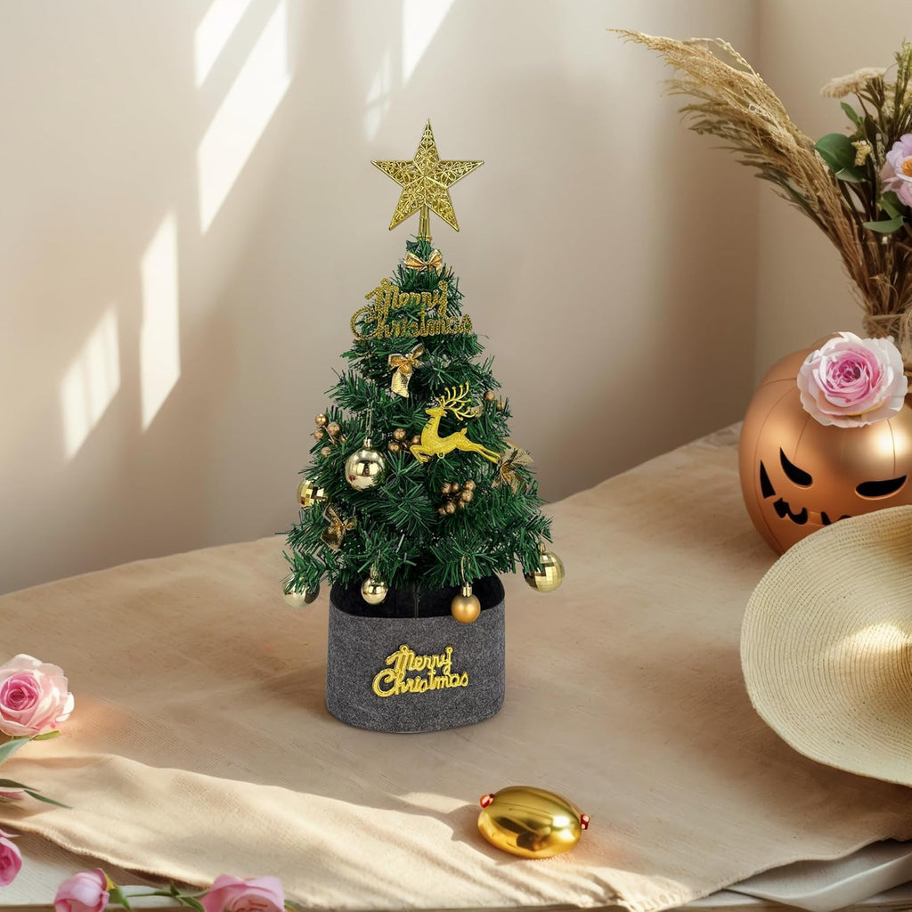 Tree Company Pre-lit Artificial Mini Christmas Tree - Gold Star Small White LED Lights, White Tipped Cones, Glitter Branches Pine Cones and Cloth Bag Base - Glittery Bristle Pine - 24 inch