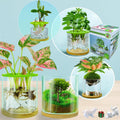 4 in 1 Plant Propagation Station Hydroponic Vase Planter Pot,Indoor Glass Terrarium Planter,Fresh Herb Garden Grow Kit,Home Office Decor,Christmas Birthday Gift for Gardener Women Parents Garden Lover