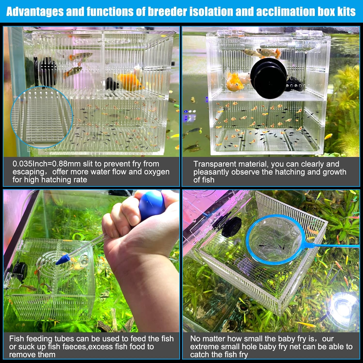 Magnetic Fish Breeder Box for Aquarium Tank Isolation Box Acclimation Hatchery breeding Incubator for Guppy Baby Betta Saltwater Clownfish Coral Anemones Aggressive or Injured Fish