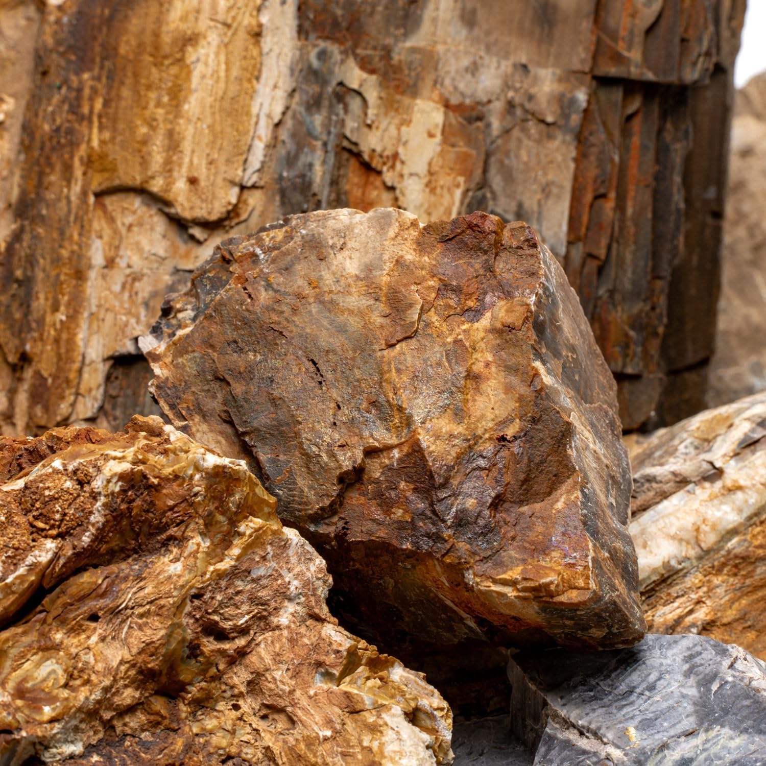 SubstrateSource Natural Stone for Aquarium, Terrarium, Paludarium, Reptile Enclosures - Set of Decorative Rocks for Landcapes, Aquascaping, Fish Tank Decor (Petrified Wood Stone, 30 Pounds, 2-8")