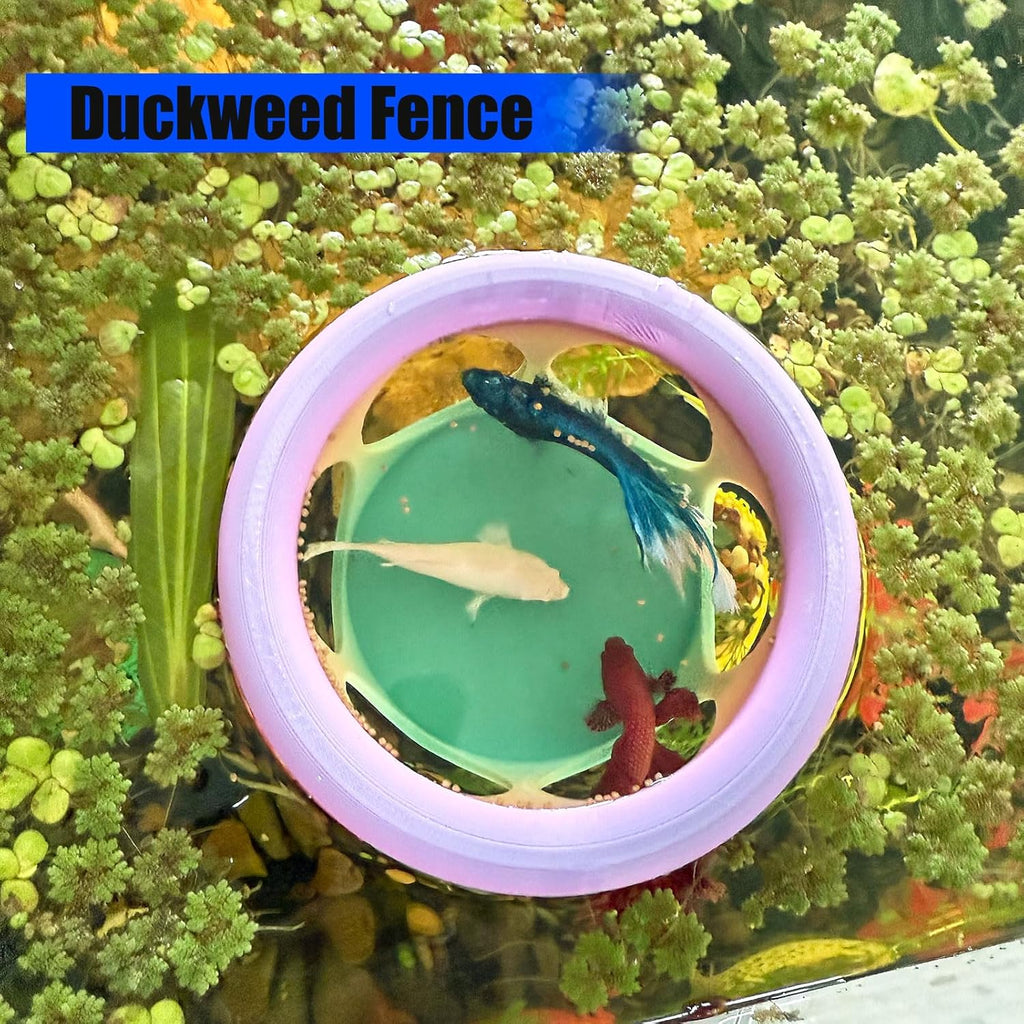 Floating Betta Fish Hideaway, Aquarium Suspended Resting Spot, Feeder for Small Fish and Shrimp, 3D Printed, Decorative Floating Cave Accessory for Aquariums. (Color)