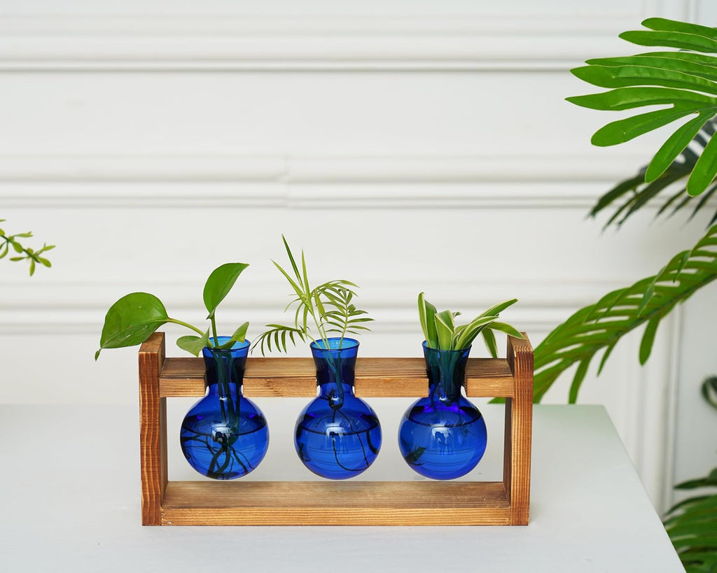 Kingbuy Glass Plant Terrarium Propagation Station - 3 Bulb Colored Vases with Retro Wood Stand Indoor Garden Planter - Wall Mounted & Desktop Decor for Home Kitchen Wedding, Gift for Plant Lover, Blue