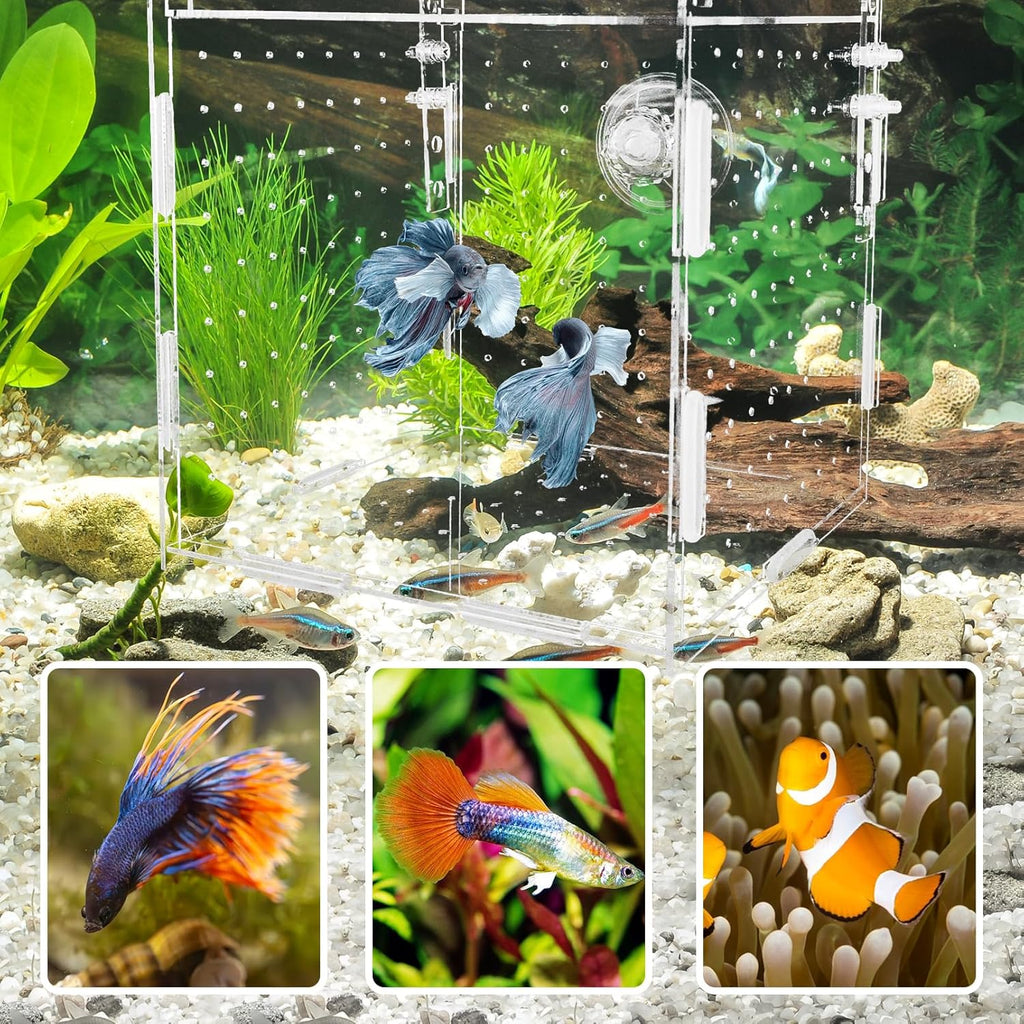 Hamiledyi Acrylic Breeding Isolation Box - Transparent Aquarium Hatchery for Guppy/Shrimp/Small Fish, Safe Nursery Tank with Air Tube & Suction Cups(5.9" × 5.9" × 5.9")