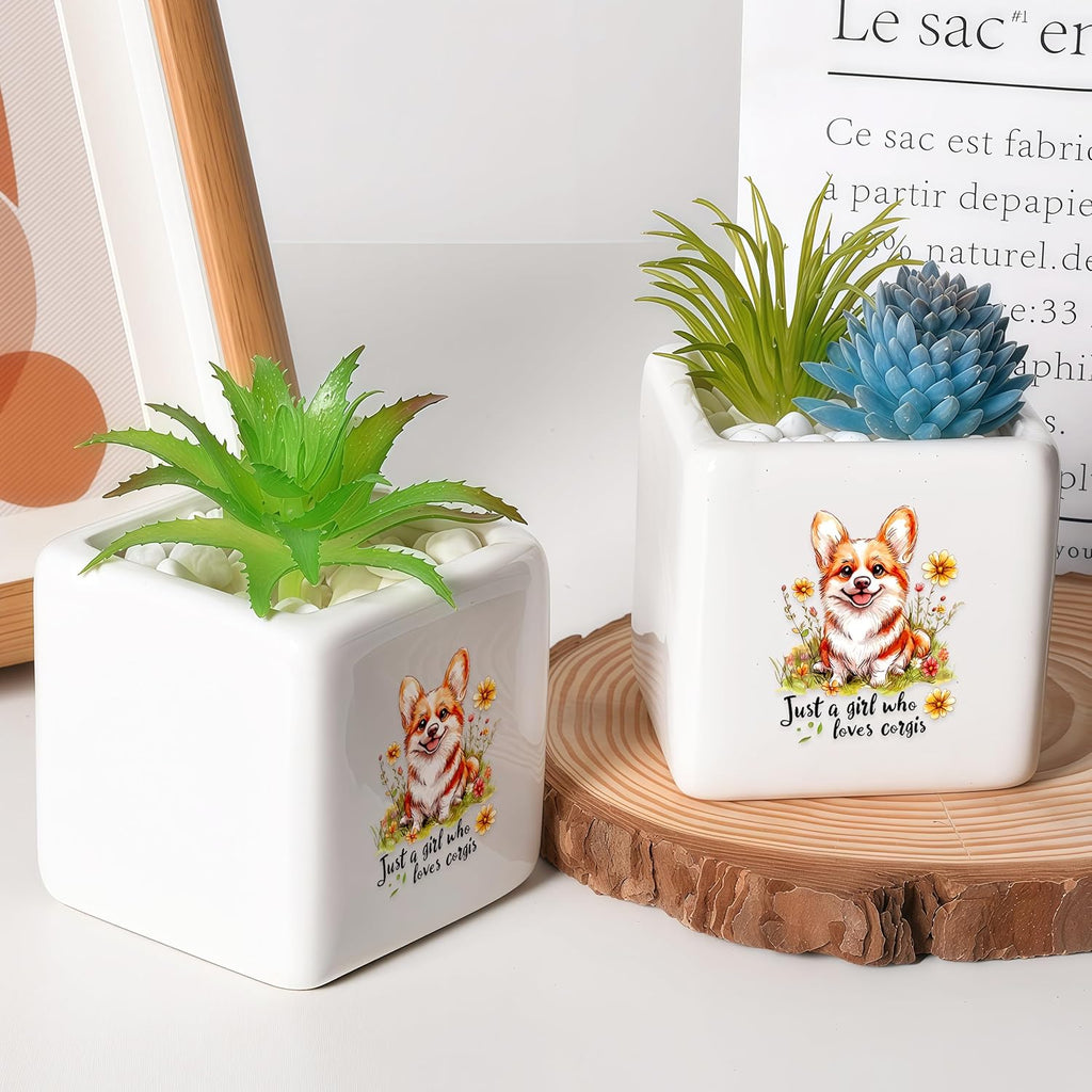 Corgi Succulent Planter Flower Plant Pot Small, Gifts for Women Teens Girls Kids, Corgi Lovers Themed Stuff Accessories Things Decor Merch, Home Office Table Desk Decoration!
