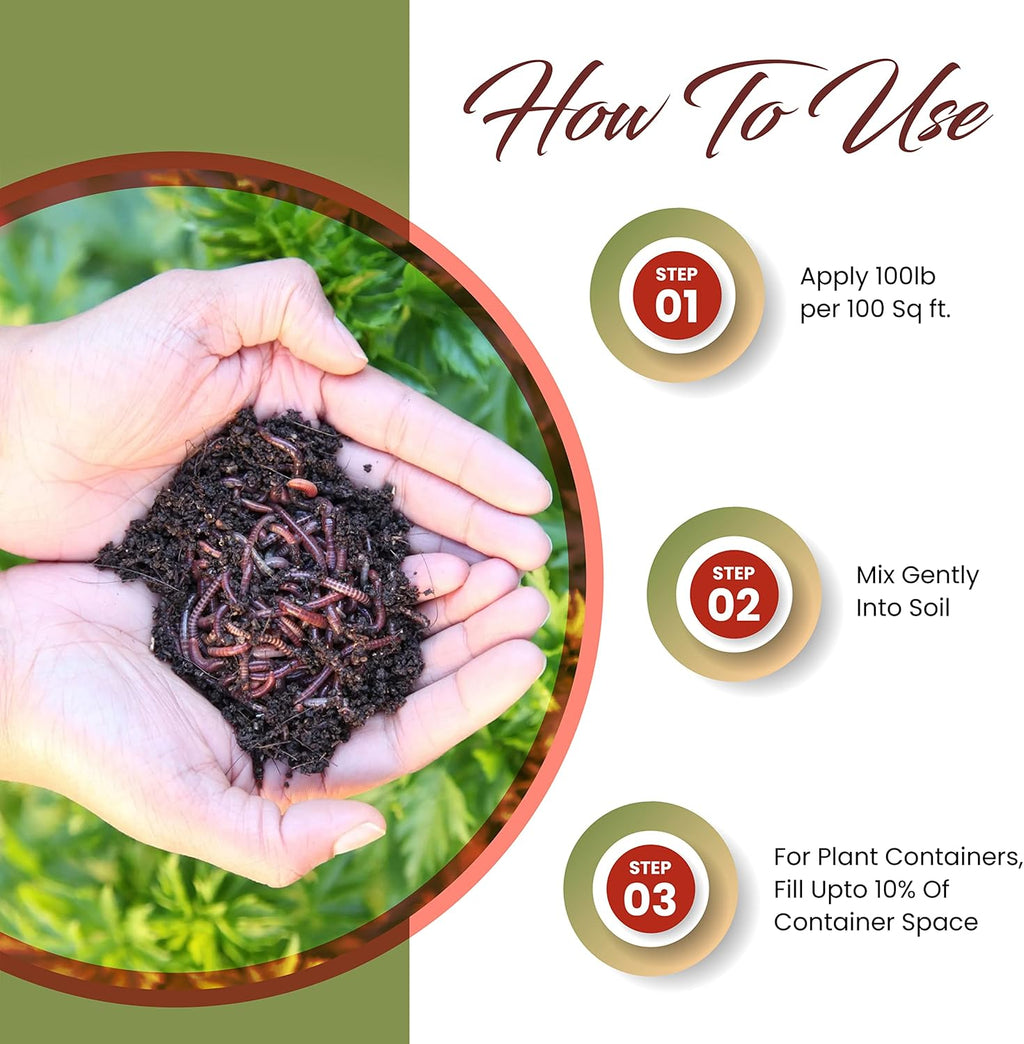 Worm Bliss (1 Qt) - Organic Worm Castings for Plants & Gardening - OMRI-Listed Earthworm Castings for Plants, Vegetables, Flowers, & Potting Soil - Organic Garden Fertilizer Rich in Nutrients