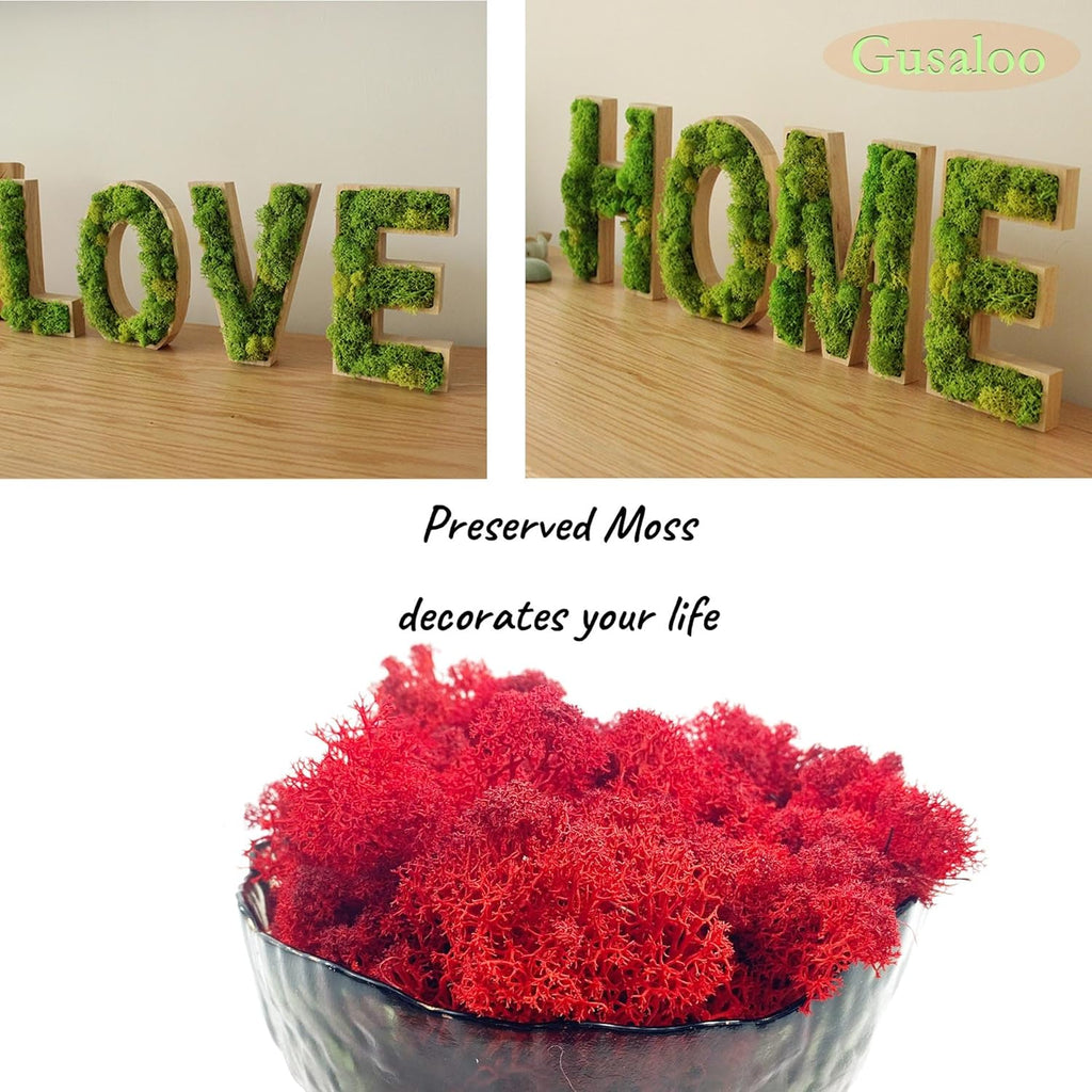 Moss Preserved Moss for Potted Plants Natural Fresh Green Reindeer Moss for Craft Arts Floral Wall Decor Decor Wedding Centerpieces Garden Artificial Terrariums Decoration for Christmas - Red 3.52OZ