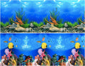 Lainrrew Aquarium Background Poster HD, Dual-Sided Water Plants & Fish Tank Landscape, 16"x40", Vivid Marine Life, Waterproof Scenery, Easy to Install, Durable Tank Decor (Type 1)