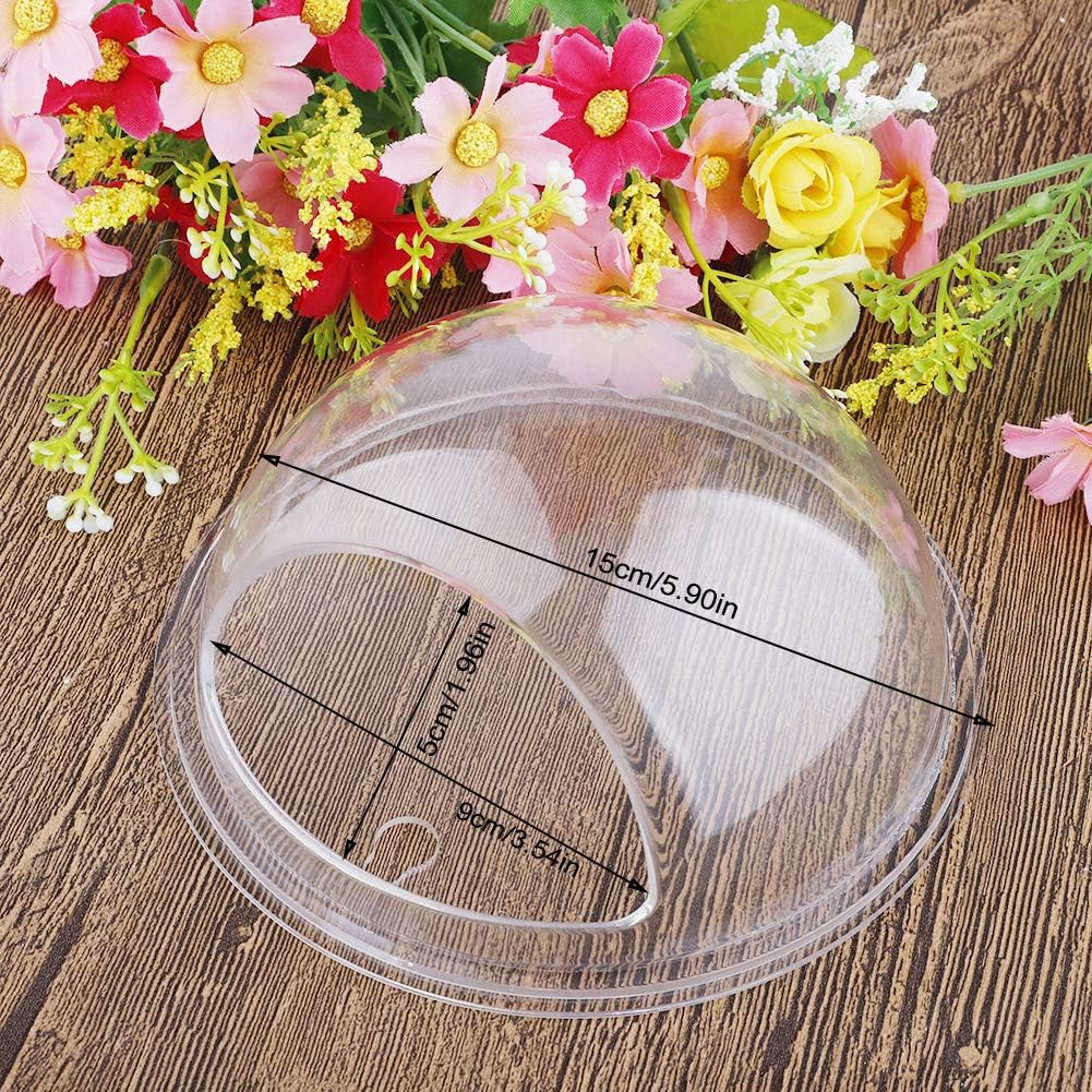 Wall Hanging Plant Terrarium, Clear Acrylic Globe Flower Vase for Air Plants Succulents, Acrylic Round Wall Mounted Hanging Fish Bowl Aquarium Tank, Decorative Plant Pot Hanging(Transparent)