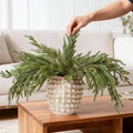 DN DECONATION Artificial Christmas Norfolk Pine Stems, Faux Pine Branches 35.4" 6PCS - Real Touch PE Greenery Fake Pine Needles for Vase Arrangements, Winter, Holiday Indoor Outdoor Home Decor