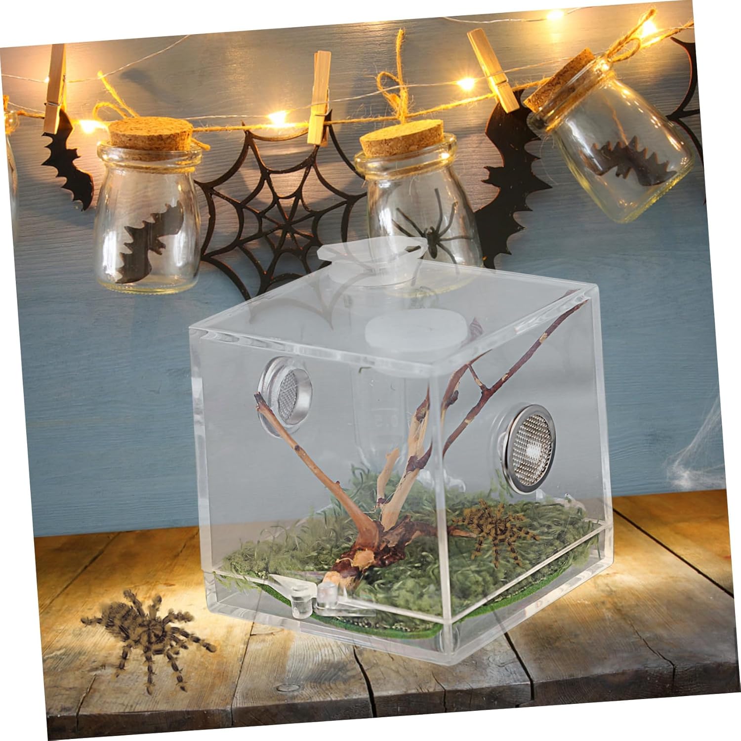 GANAZONO Transparent Acrylic Reptile Terrarium Box with Dropper and Forceps Pet Breeding Cage for Jumping Spiders and Small Insects Portable Habitat with Spacious Design and Easy