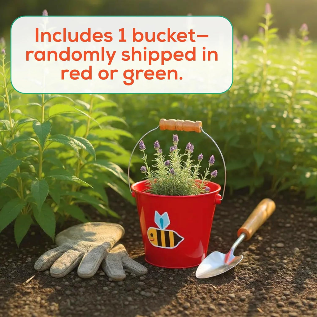 Toysmith Kids Gardening & Beach Bucket – 5″ Metal Pail with Grippable Handle | Assorted Bee & Beetle Colors | Durable Steel for Outdoor Play - 1 Count