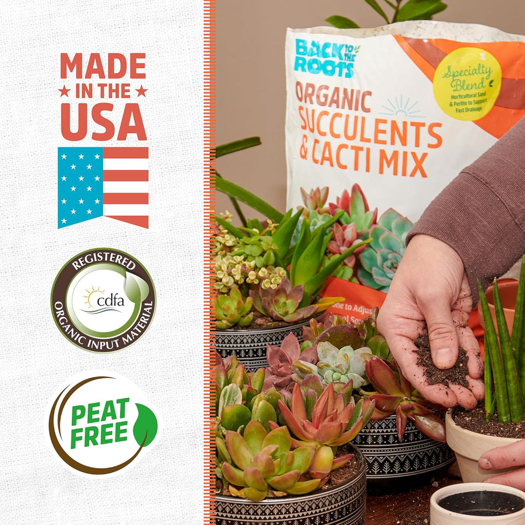 Back to The Roots 100% Organic Succulent & Cacti Mix (Value 12 Quart) | Made in The USA