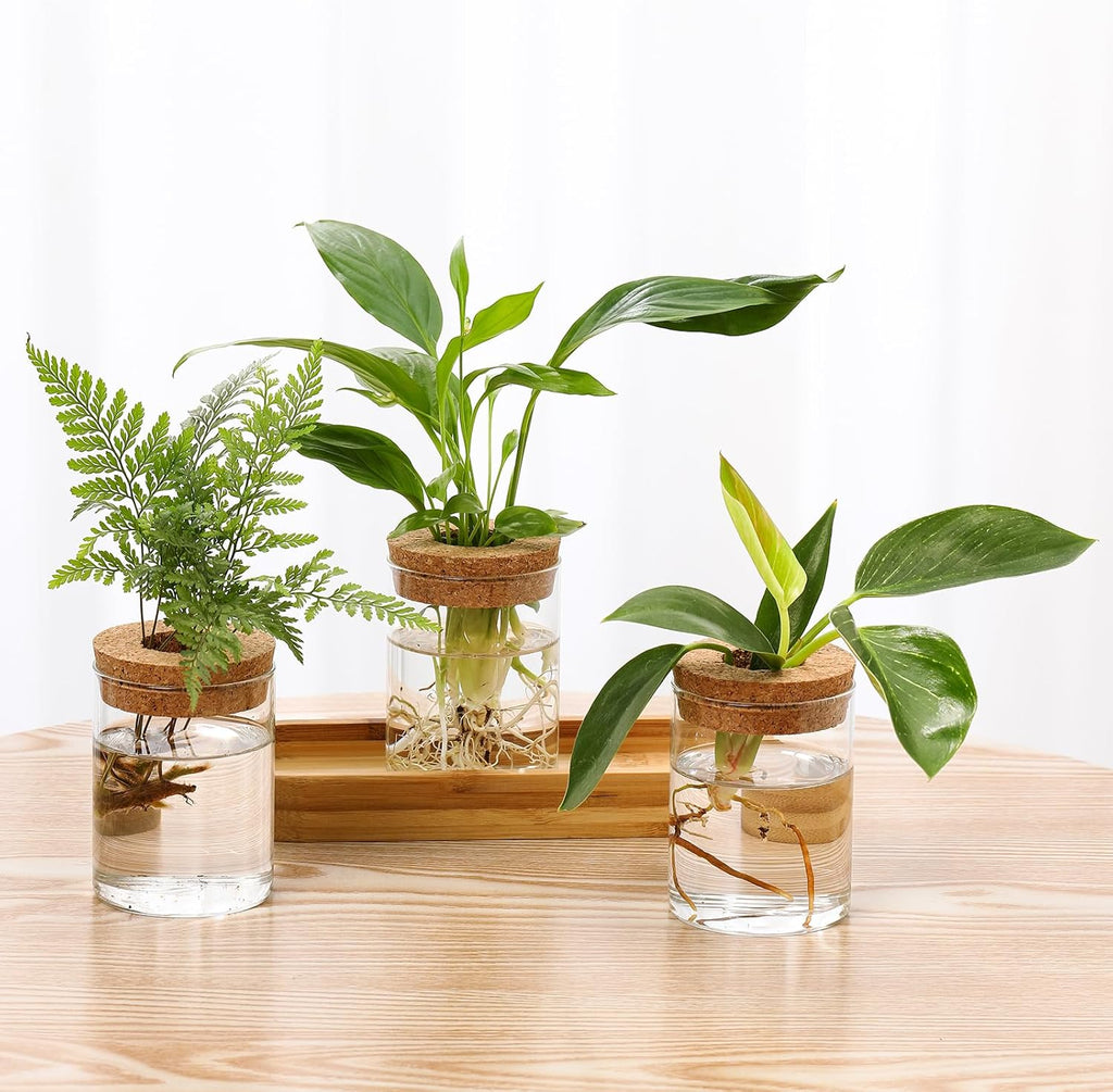 3Pcs Propagation Stations, Plant Terrarium with Lid and Wooden Stand,Desktop Glass Planter Hydroponics Vase,Home Office Living Room Decor Gifts