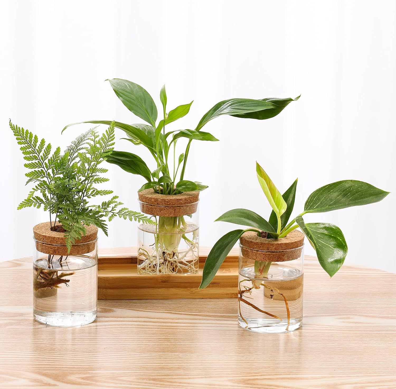 3Pcs Propagation Stations, Plant Terrarium with Lid and Wooden Stand,Desktop Glass Planter Hydroponics Vase,Home Office Living Room Decor Gifts