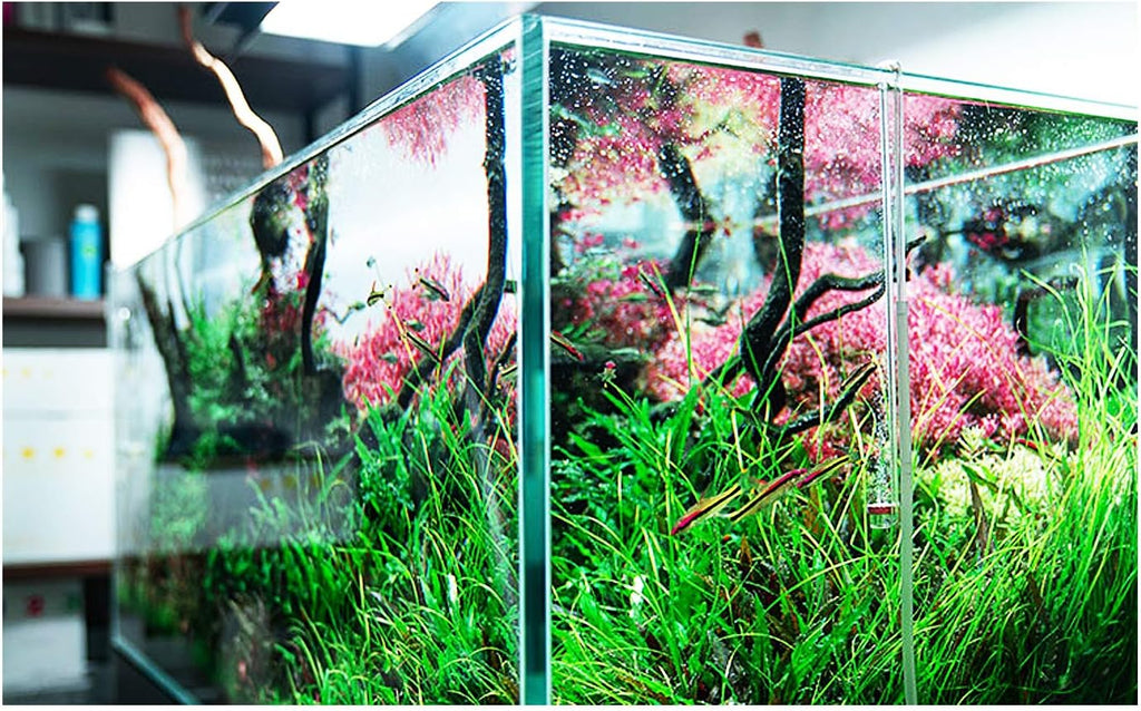 Neo CO2 Aquarium Diffuser - CO2 Diffuser Aquarium Kit, CO2 Diffuser for Aquarium Plants, CO2 System for Aquarium - Curved Special Diffuser, Medium