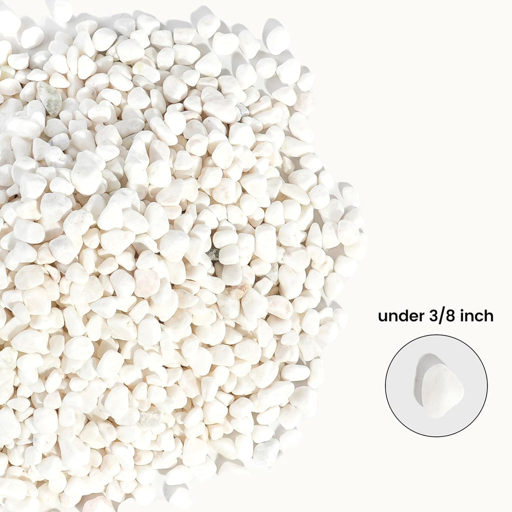 CONSDAN 12 LBS Natural Gravel for Fish Tank, StoneCreek Betta Fish Aquarium Gravel, Vase Filler, River Rocks, Fish Tank Decorations, Perfect for Aquarium Decor, Fish Tank, & Indoor Plant, White