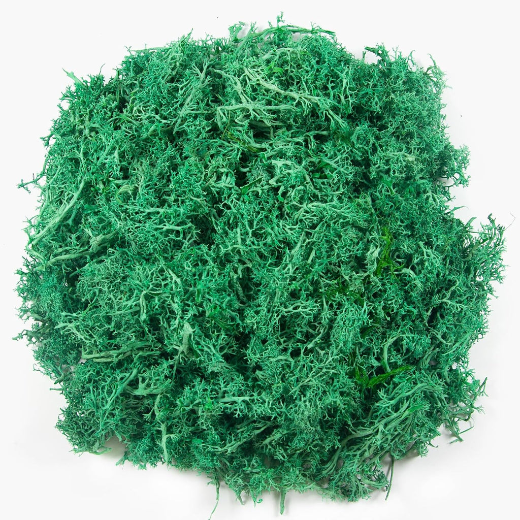 3.5 oz Artificial Moss for Plants Indoor, Fake Moss Preserved Reindeer Moss for Centerpieces Decor,Faux Moss for Moss Decor Home Decor Potted Plants Crafts Wedding Wall Decor(Dark Green)