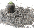 CJGQ Decorative River Rocks Pebbles for Succulents, Cacti & Gardens, Aquarium Gravel, Fish Tank Rocks, 2.4 lb