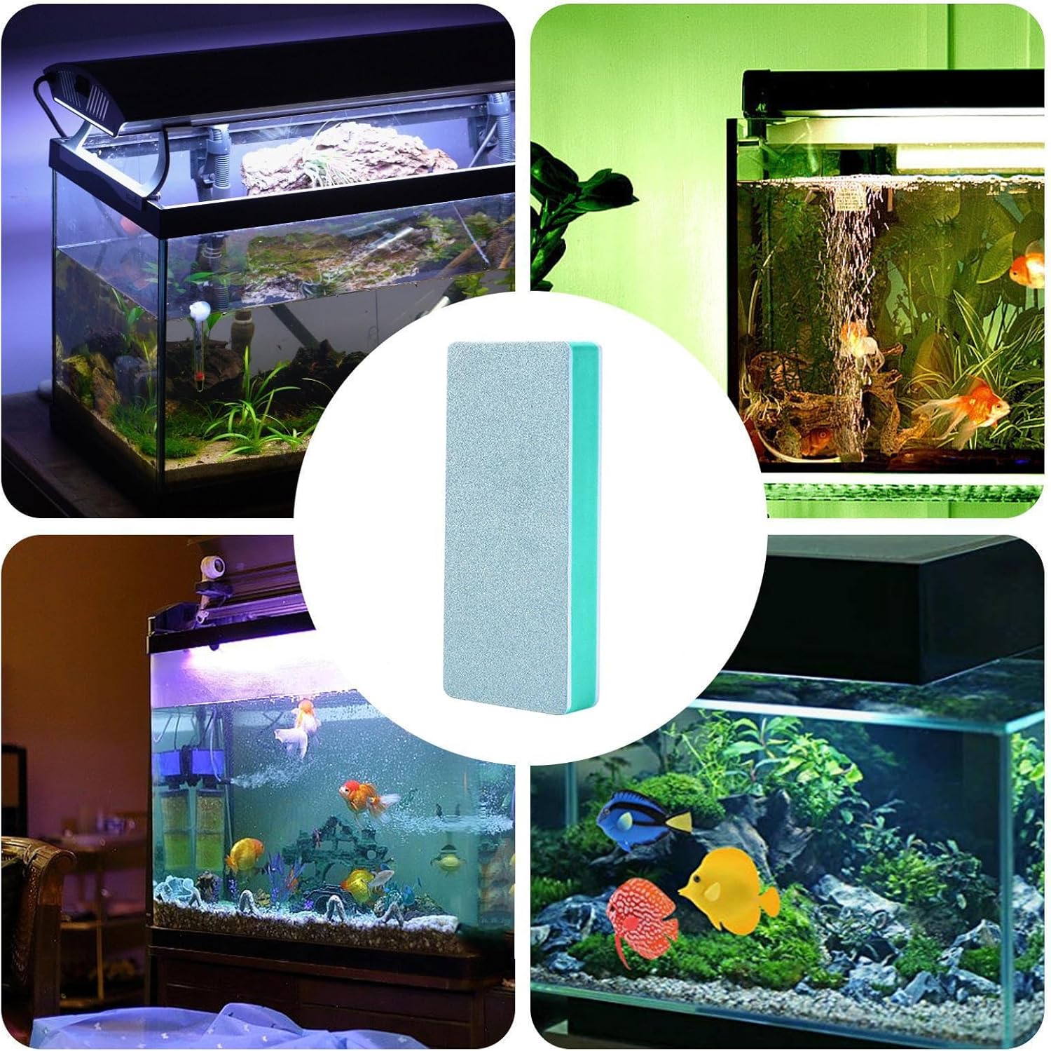 6 Pack Fish Tank Glass Cleaner, Sided Buildew Stain Remover,Window Cleaning Brush,Non-Scratch EVA Pad