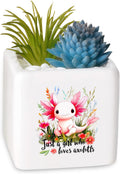 Axolotl Succulent Planter Flower Plant Pot Small, Gifts for Women Teens Girls Kids, Axolotl Lovers Themed Stuff Accessories Things Decor Merch, Home Office Table Desk Decoration!