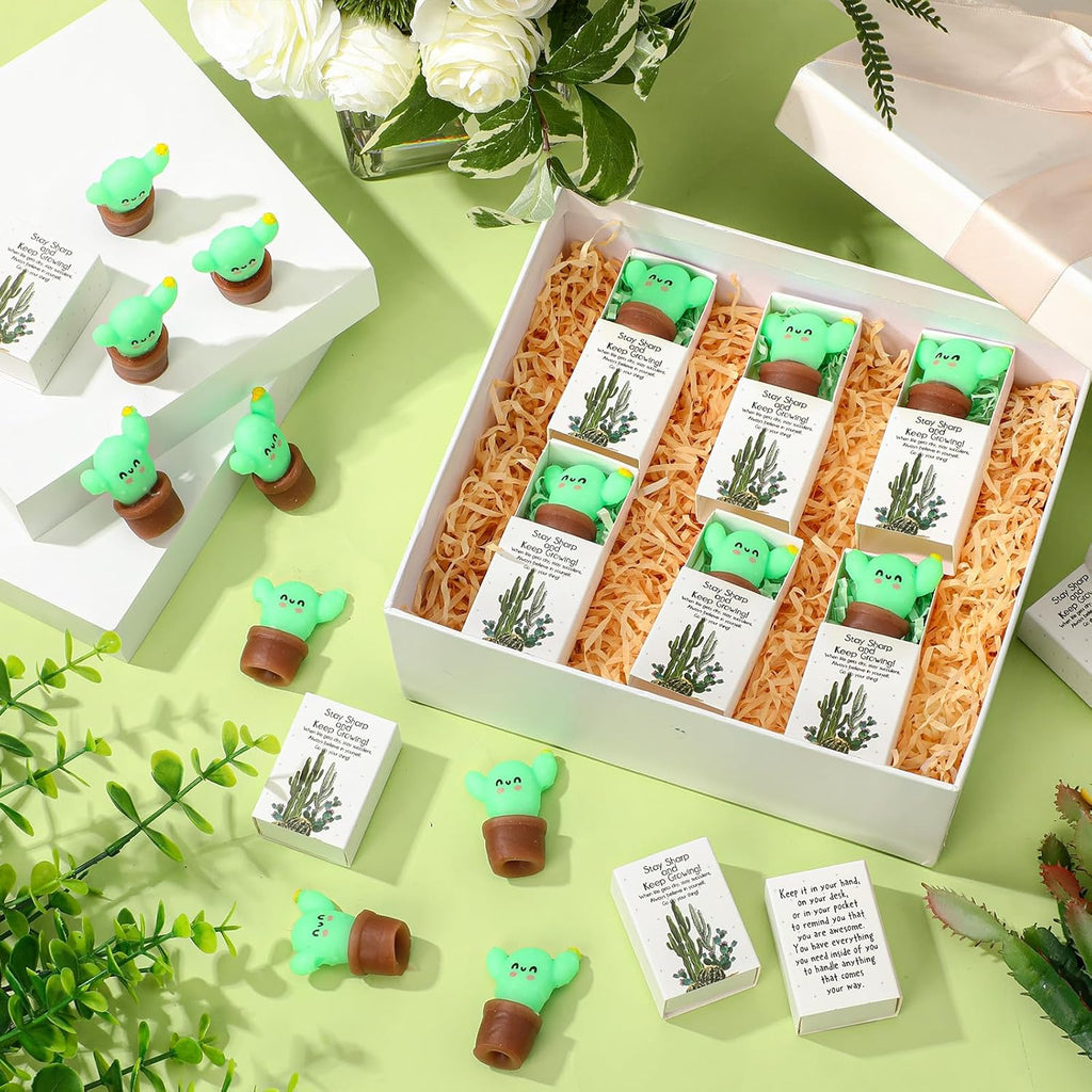 Wettarn 24 Sets Cactus Positive Gifts Cute Stress Balls with Support Gift Boxes Bulk Inspirational Party Favors for Employee Coworker Friends Office Relief Toys Funny Desk Decor