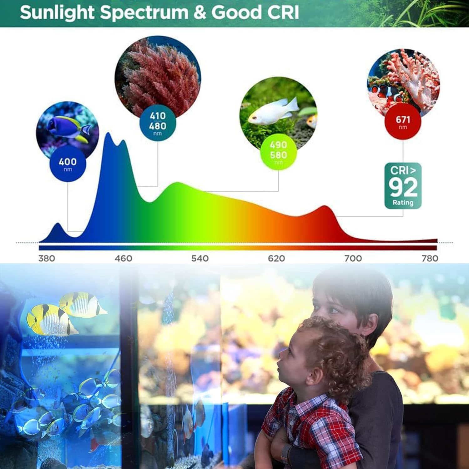 LIYAOLI LED Aquarium Light - 2 Pcs Clip On Full Spectrum Fish Tank Light with Adjustable Height for Planted Tanks, Coral Reef, Saltwater/Freshwater, 3 Color Modes - White/Blue/Combo