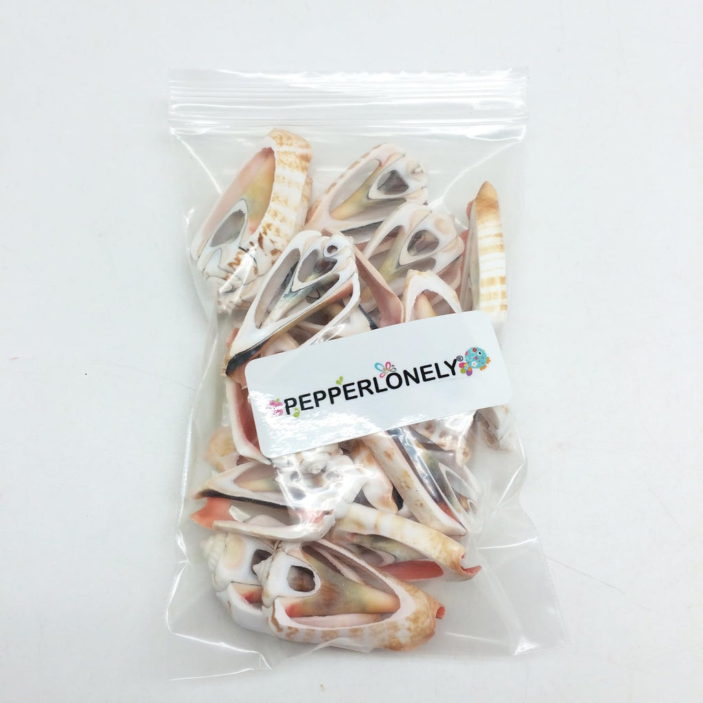 PEPPERLONELY 20 PC Center Cut Strawberry Strombus Sea Shells, 1-1/2 Inch ~ 2 Inch