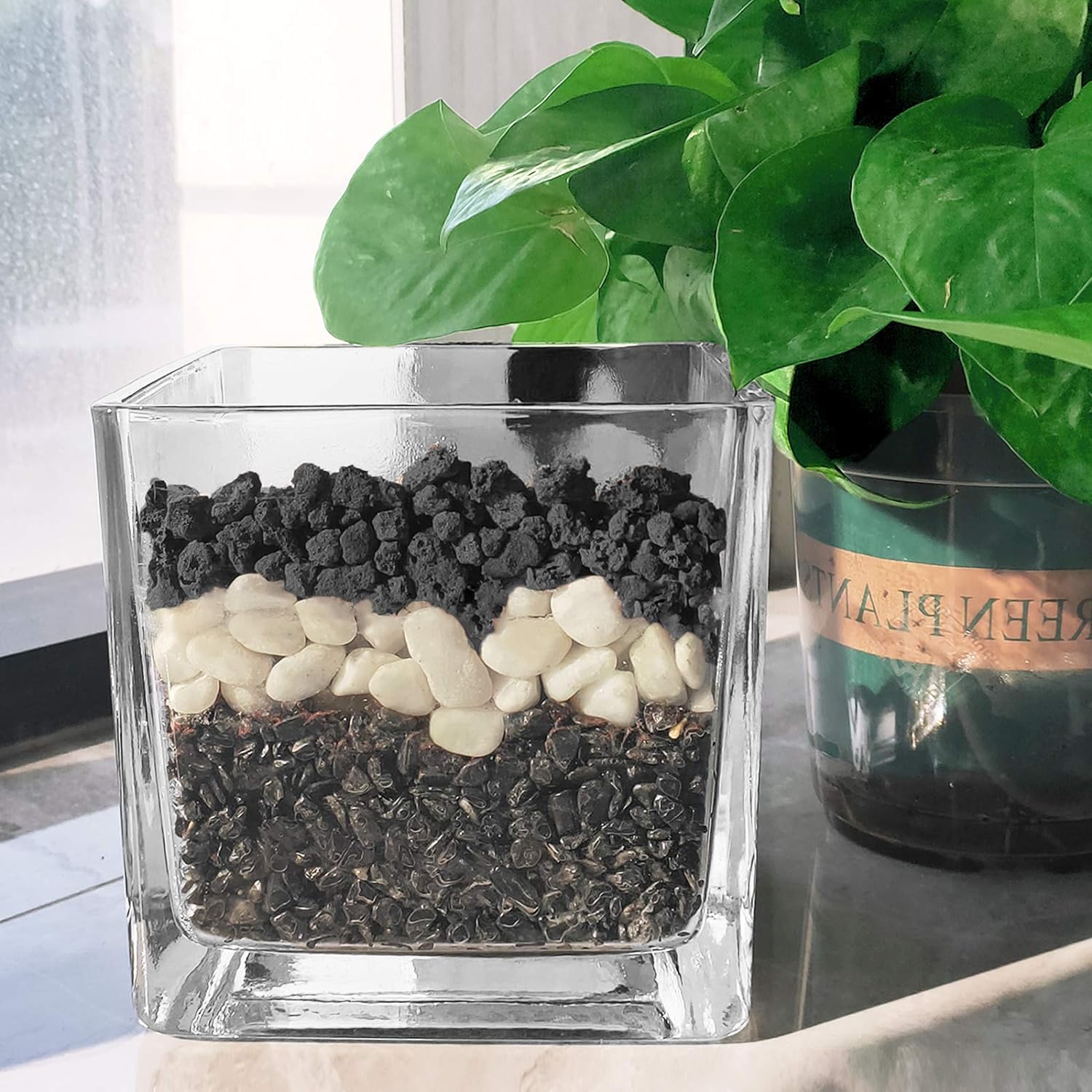 Black Lava Rocks for Plants -100% Pure Volcanic Rock No Dyes or Chemicals-Best Lava Stones Top Dressing for Cacti Succulents Plants,Bonsai
