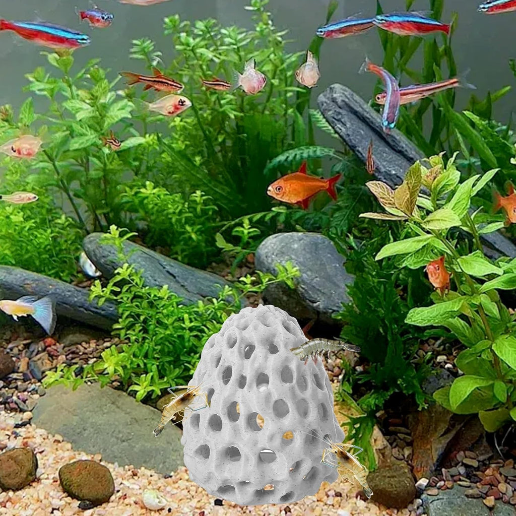 Shrimp Hide Aquarium Cherry Shrimp Hide with Suction Cup Betta Habitat Fish Tank Tunnel Aquarium Fish Cave Hideout Ornament Accessories for Shrimps Guppy Hiding Resting