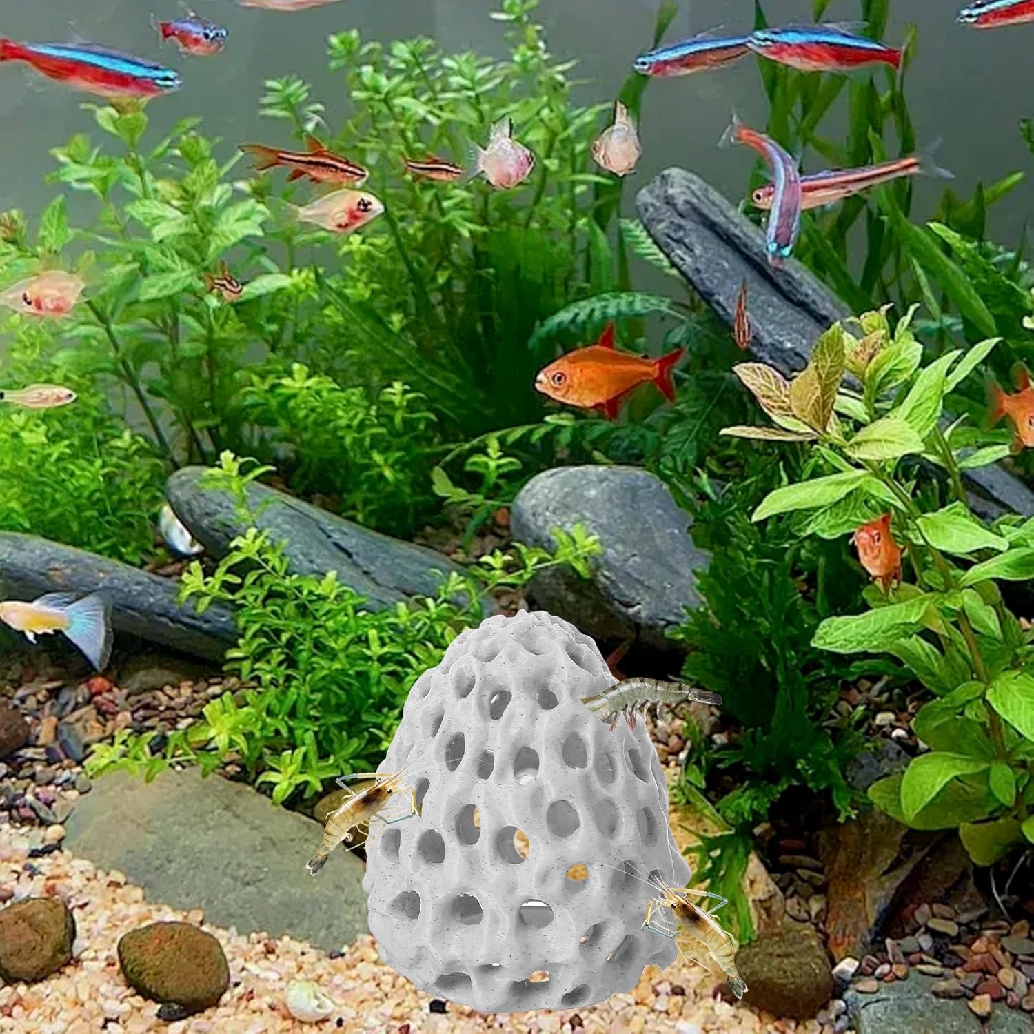 Shrimp Hide Aquarium Cherry Shrimp Hide with Suction Cup Betta Habitat Fish Tank Tunnel Aquarium Fish Cave Hideout Ornament Accessories for Shrimps Guppy Hiding Resting