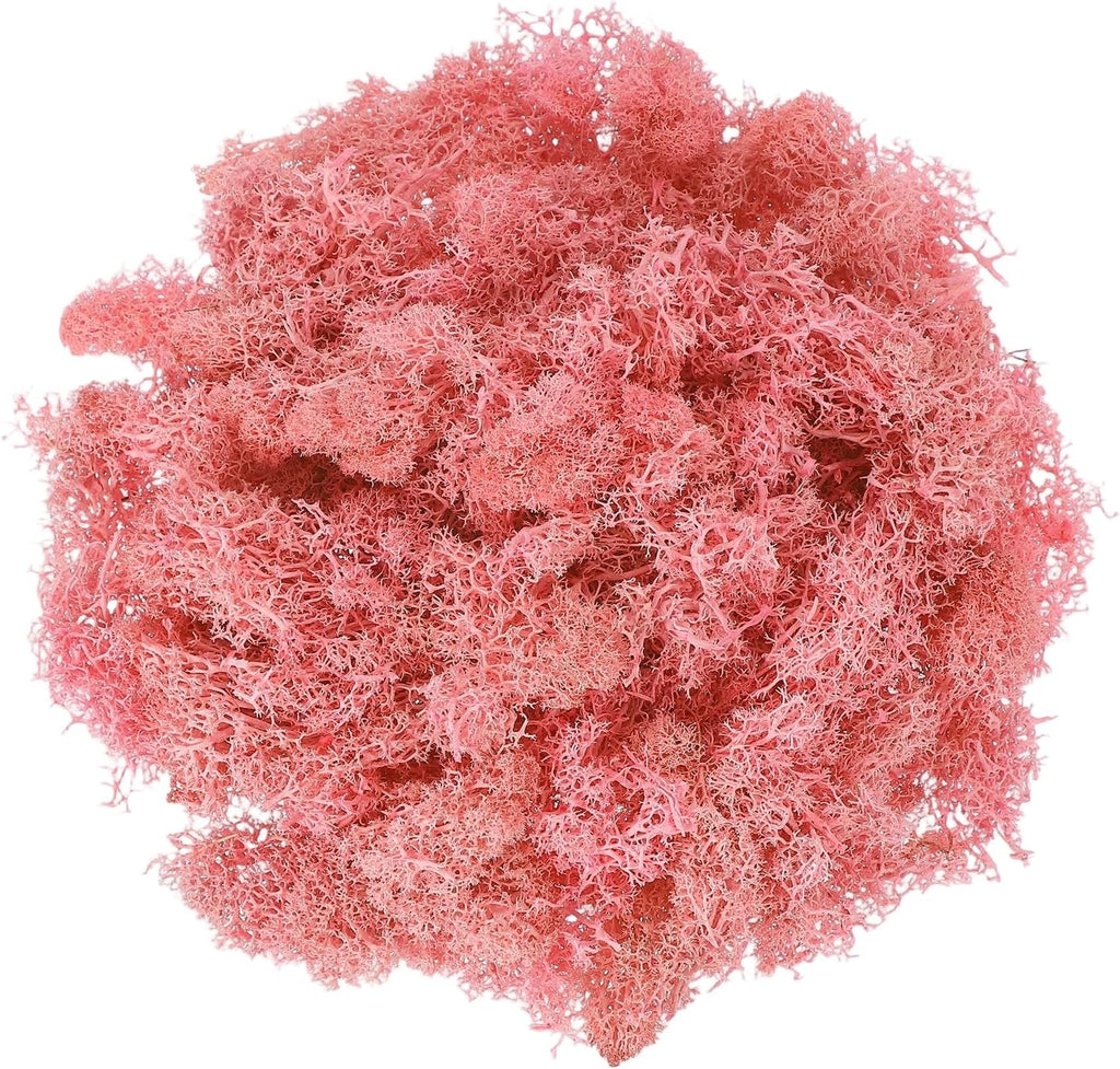uxcell Preserved Reindeer Moss, 17.6oz Fake Moss for Crafts Artificial Dried Moss for Decoration Terrariums Potted Plants, Light Pink