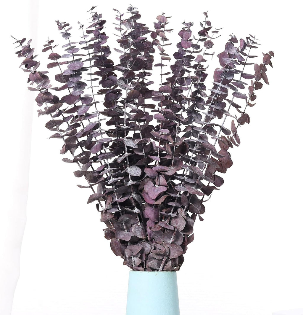 20 Pcs Dried Eucalyptus Stems, 17'' Natural Real Live Purple Eucalyptus Leaves Branches Hanging Shower, Preserved Dried Plants for SPA Home Fragrance Bathroom Table Vase Decor