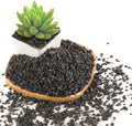 2.4LB Black Lava Rocks for Plants, Volcanic Rock Horticultural Lava Rock Soil for Landscaping Plants Drainage, Small Lava Rock Gravel for Succulents, Bonsai, Vase Fillers, Top Dressing