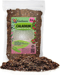 Elevate Your Space with Gardenera's Organic Potting Mix - Tailored for Thriving Caladium Plants and Captivating Leaves - 2 Quart, MAIN-CALADIUM-2QT