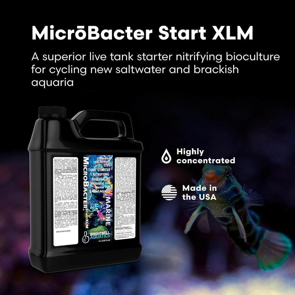 Brightwell Aquatics MicroBacter Start XLM - Concentrated Freshwater Nitrifying Bacteria - Quick Start Fish Tank Starter, Lift Microbe Levels & Water Filtering - Aquarium Water Treatments, 135.2 fl oz