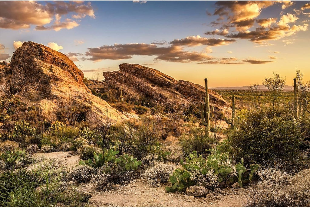 Desert Mountain Reptile Tank Background Sunset Rock Mountain Gobi Aquarium Background Blue Sky Gobi Barren Thorns Mountain Reptile Enclosure Backgrounds Cactus Mountain Fish Tank Backgrounds 36x18in